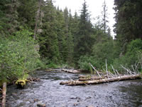 2006-07-31 10-20-46_0231.jpg (154kb)